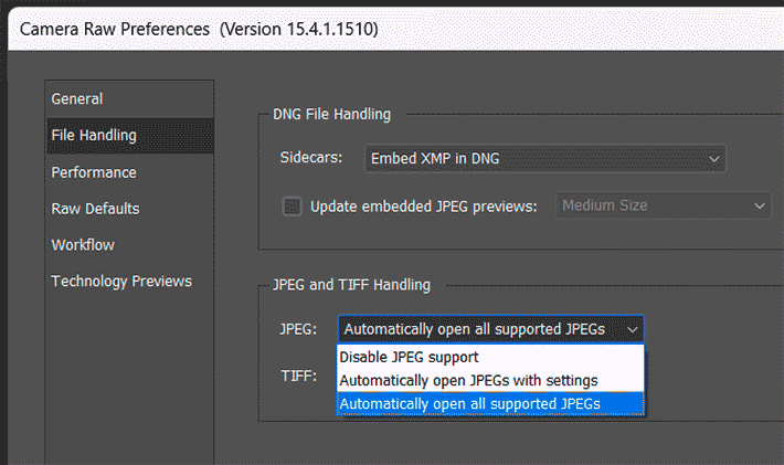 В Камера Ро можно открывать также одномоментно много файлов JPG.